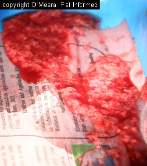blood in stool jelly like fecal flotation for detecting parasite burdens in faeces blood in stool jelly like fecal flotation for detecting parasite burdens in faeces