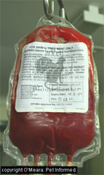 Blood products used in canine blood transfusions. Rodenticide toxicity in animals can make them so anemic that they need a blood transfusion. This is a bag of packed red blood cells.