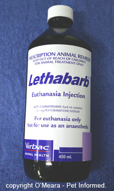 starter fluid euthanasia starter fluid euthanasia