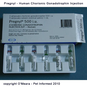 HCG is used to induce ovulation in female ferrets.