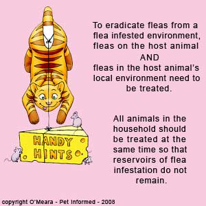 When trying to break the flea life cycle, all animals in the house need to be treated as does the host environment.