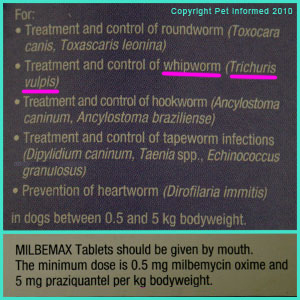 Milbemax will kill dog whipworm infestations