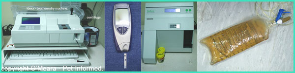 Images of some of the in-house machines used in monitoring distemper patients. These include biochemistry machines, electrolyte machines, glucose measurers (glucometers) and urine output monitoring.