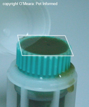 Fecal floatation image - microscope coverslip in place for 10 minutes.