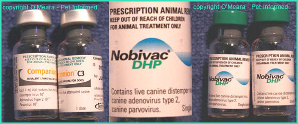 parvovirus vaccine cost