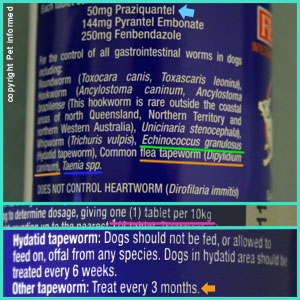The minimum dose of praziquantel for breaking the tapeworm life cycle is 5mg/kg. It kills Taenia tapeworms.