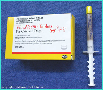 doxycycline for dogs online