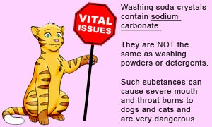 Washing soda crystals are used to make dogs and cats vomit.