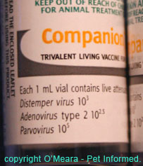 A close up example of one of our infectious diseases vaccines.