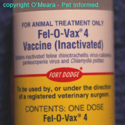 An example of a killed vaccine (also termed an inactivated vaccine).