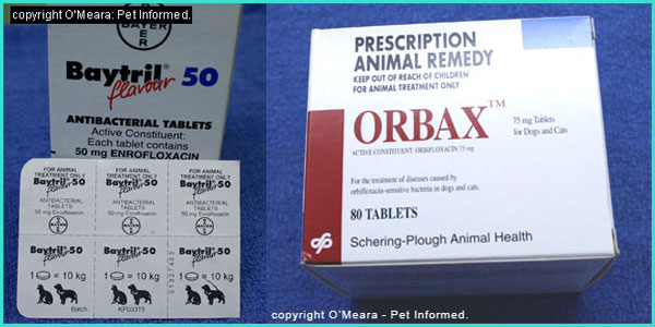 Images of the fluoroquinolone drugs, Baytril and Orbax.