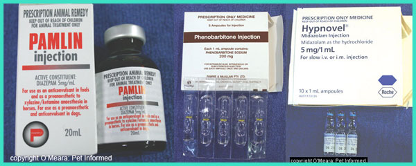 This image is of some of the anticonvulsant medications which might be used to control seizures in fitting puppies, ferrets or dogs.