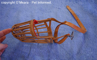 This is a basket muzzle as viewed from above. It can be placed on a dog's face to prevent rodent poison access.