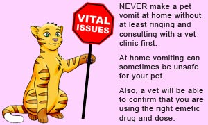 When making pets vomit up poison or bait at home, always ring your vet for advice first.