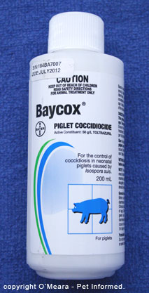 This is an image of Baycox, used to treat coccidia in piglets. The active ingredient is Toltrazuril.