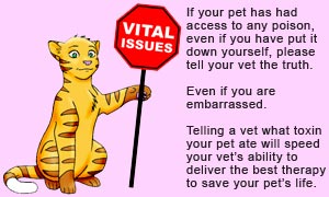 Always be honest with your vet about what poison your pet might have eaten.