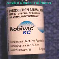 An example of an intranasal vaccine product that protects against Bordetella and parainfluenza (kennel cough). They are bacterial and viral vaccines - they have antigens of both types of organism.