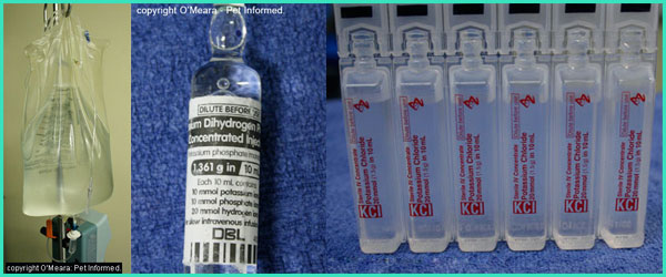 Images of intravenous fluids and the electrolyte supplements (potassium, phosphate etc.) used to correct electrolyte abnormalities in pets with colitis and diarrhea.