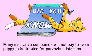 Many pet insurance companies do not provide cover against canine parvovirus.