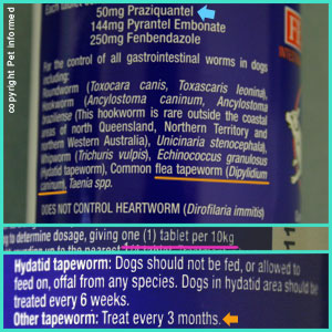The minimum dose of praziquantel for breaking the tapeworm life cycle is 5mg/kg.