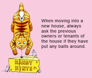 When moving into a new house, always ask the previous owners or tenants if they have put any rat baits or snail baits out. Most people are happy to tell you where they are.