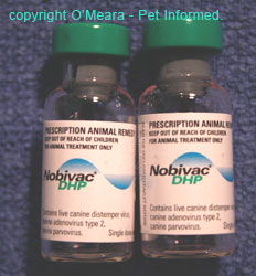 Nobivac is an example of a newer vaccine that delivers protective immunity to puppies within 12 weeks of age, thereby allowing good socialisation to occur.