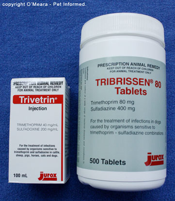 Trimethoprim sulfonamide (sulfa) drugs are the drugs of choice in coccidiosis.